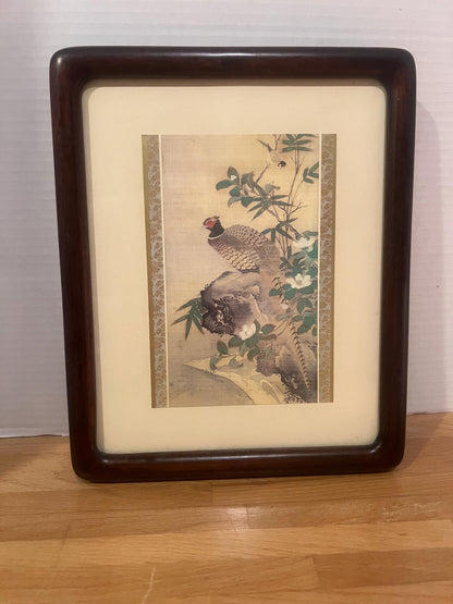Vintage Asian Pheasant Art Print in Solid Wood frame